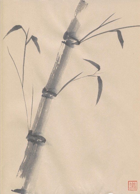 Bamboo